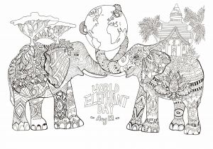 Coloriage Fleurs Exotiques Imprimer Dessin De Fleurs Exotiques A Imprimer