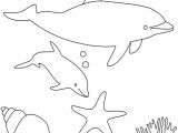 Coloriage Fond De Mer 226 Best Coloriages De Poissons Et Animaux Marins Images On