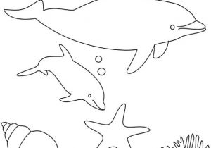 Coloriage Fond De Mer 226 Best Coloriages De Poissons Et Animaux Marins Images On