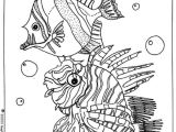 Coloriage Fond De Mer 53 Best Coloriage Images On Pinterest