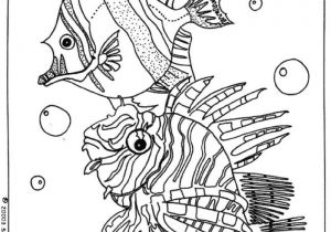 Coloriage Fond De Mer 53 Best Coloriage Images On Pinterest