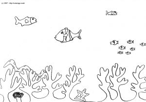 Coloriage Fond Marin Maternelle Coloriage Fond Marin