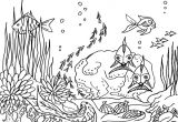 Coloriage Fond sous Marin Coloriage Fond Marin