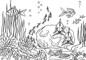 Coloriage Fond sous Marin Coloriage Fond Marin