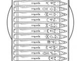 Coloriage Fourniture Scolaire Maternelle 234 Meilleures Images Du Tableau Coloriage A L Ecole C Est