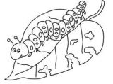 Coloriage Frankie Le Robot 9 Meilleures Images Du Tableau Funny and Cute Caterpillar