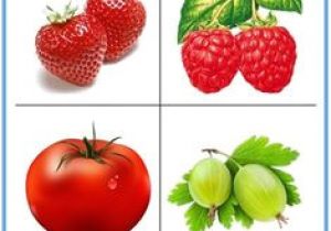 Coloriage Fruits Et Légumes Maternelle Pdf 25 Meilleures Images Du Tableau Fruits&légumes