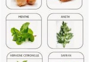 Coloriage Fruits Et Légumes Maternelle Pdf 25 Meilleures Images Du Tableau Fruits&légumes