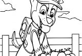 Coloriage Fusee Mario Coloriage Pat Patrouille   Imprimer