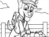 Coloriage Fusee Mario Coloriage Pat Patrouille   Imprimer