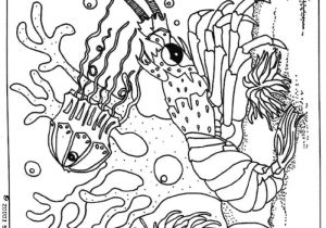 Coloriage Garcon En Ligne Jeux De Coloriage Gratuit En Ligne Pour Garcon Ohbqfo