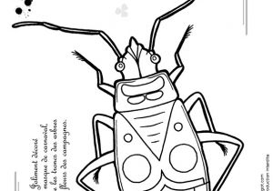 Coloriage Gendarme Coloriage Découverte Des Petites Bªtes Le Gendarme