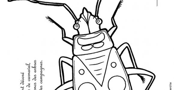 Coloriage Gendarme Coloriage Découverte Des Petites Bªtes Le Gendarme