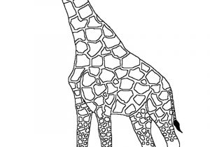Coloriage Girafe à Imprimer Coloriage Tigre Mandala Coloriage De Girafe A Imprimer