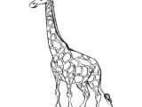 Coloriage Girafe A Imprimer Gratuit Dessin Facile Animaux Girafe