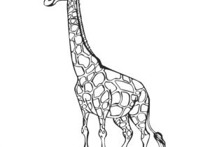 Coloriage Girafe A Imprimer Gratuit Dessin Facile Animaux Girafe