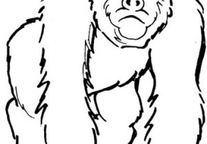 Coloriage Gorille A Imprimer Coloriage Gorille 2