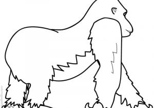 Coloriage Gorille A Imprimer Dessin De Coloriage Gorille   Imprimer Cp