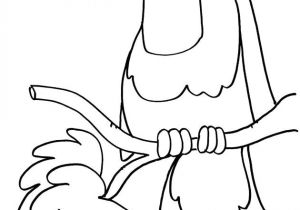 Coloriage Gorille A Imprimer Gratuit Coloriage De Perroquet Sur Coloriages Enfants Ha