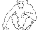 Coloriage Gorille A Imprimer Gratuit Coloriage Gorille Sélection De Coloriage Gorille   Imprimer Sur