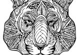 Coloriage Gorille Mandala Dessin   Colorier D Une Tªte De Tigre Hugolescargot