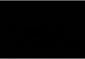 Coloriage Grand Requin Blanc Coloriage Requin Blanc