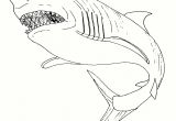 Coloriage Grand Requin Blanc Coloriage Requin Requin Dessin Clipart Best élégant – Pages  