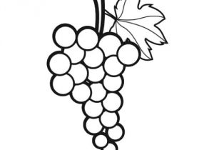Coloriage Grappe De Raisin à Imprimer Raisin Coloriage