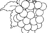 Coloriage Grappe De Raisin Coloriage Grappe De Raisin En Ligne Gratuit   Imprimer