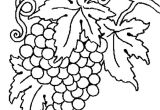 Coloriage Grappe De Raisin Coloriage Raisin En Ligne Gratuit   Imprimer