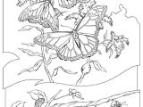 Coloriage Gratuit A Colorier Coloriage Pour Enfant Papillon