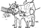 Coloriage Gratuit à Imprimer Animaux De La Ferme 52 Meilleures Images Du Tableau Coloriages Animaux De La