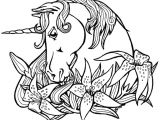 Coloriage Gratuit à Imprimer Licorne Coloriage Licorne Et Arc En Ciel Imprimer Sur Coloriages