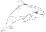 Coloriage Gratuit à Imprimer orque Coloriage orque Et Dauphin