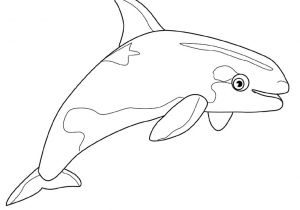 Coloriage Gratuit à Imprimer orque Coloriage orque Et Dauphin