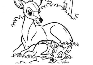 Coloriage Gratuit Biche Biche 2 Animaux – Coloriages   Imprimer