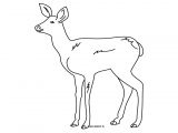Coloriage Gratuit Biche Biche 33 Animaux – Coloriages Imprimer Coloriage Gratuit Biche Biche 33 Animaux – Coloriages Imprimer