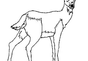 Coloriage Gratuit Biche Coloriage Biche En Ligne Gratuit   Imprimer