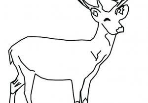 Coloriage Gratuit Biche Coloriage Cerf Az Biche Faon A Imprimer Gratuitement