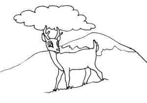 Coloriage Gratuit Biche Coloriage Dessin Animaux Biche Dessin