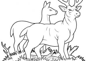 Coloriage Gratuit Biche Coloriage Gratuit Un Cerf Et Une Biche Dory Coloriages