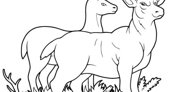Coloriage Gratuit Biche Coloriage Gratuit Un Cerf Et Une Biche Dory Coloriages