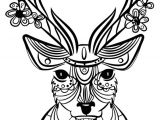 Coloriage Gratuit D Animaux 163 Dessins De Coloriage Animaux à Imprimer