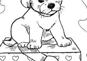 Coloriage Gratuit D Animaux Coloriage D Animaux A Imprimer Gratuitement Dessin A