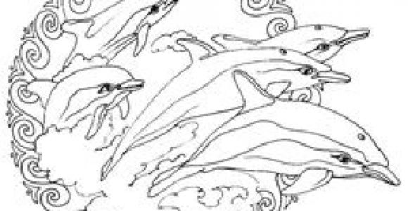 Coloriage Gratuit De Dauphin Les 251 Meilleures Images De Dauphin Brico