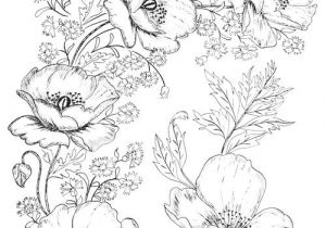 Coloriage Gratuit De Fleurs Modeles Gratuits Coquelicots Coloriage Gratuit De Fleurs Modeles Gratuits Coquelicots