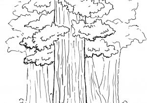Coloriage Gratuit De Paysage Coloriage