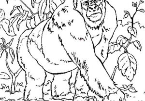Coloriage Gratuit Gorille Coloriage Gorille En Ligne Gratuit   Imprimer
