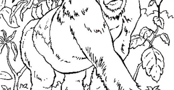 Coloriage Gratuit Gorille Coloriage Gorille En Ligne Gratuit   Imprimer