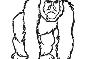 Coloriage Gratuit Gorille Coloriage Gorille Pas Content En Ligne Gratuit   Imprimer